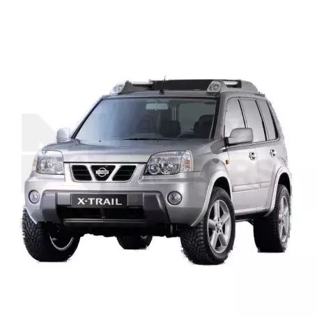 Paint Job for X-Trail T30